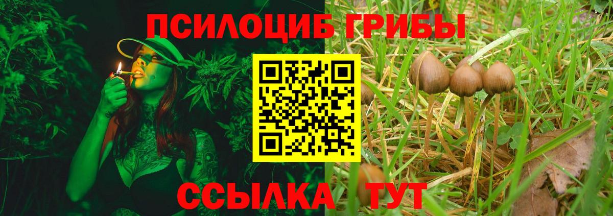 Псилоцибиновые грибы прущие грибы  Вход с VPN  Первоуральск  Псилоцибиновые грибы GOLDEN TEACHER 